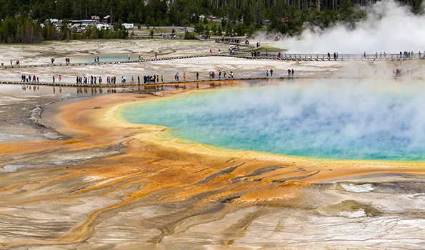 Grand Prismatic Spring in Norris Geyser Basin at Yellowstone National Park